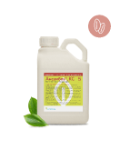 Ансамбль, КС